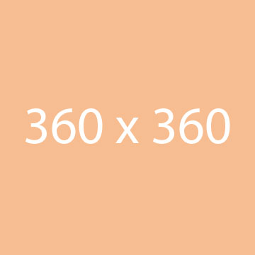 case study 4