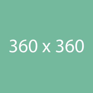 case study 7