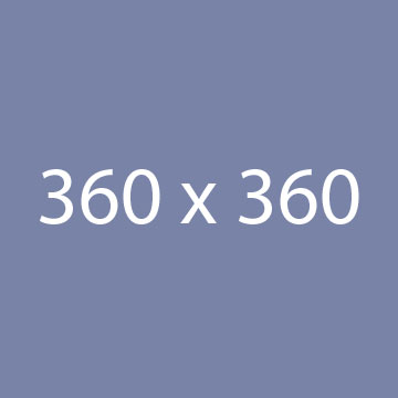 case study 5