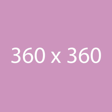 case study 3