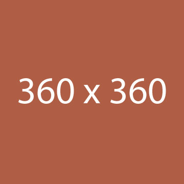 case study 8